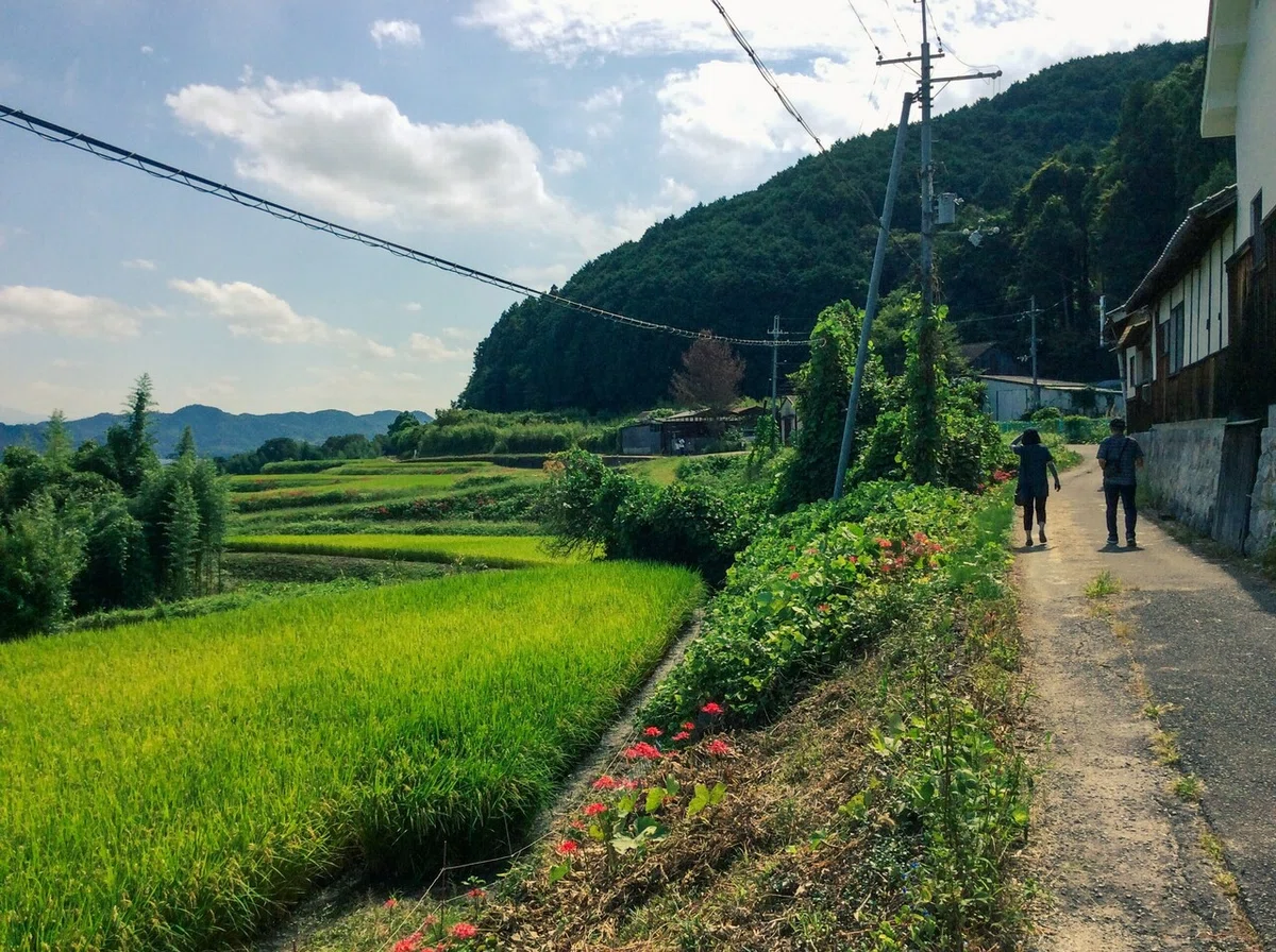 画像10