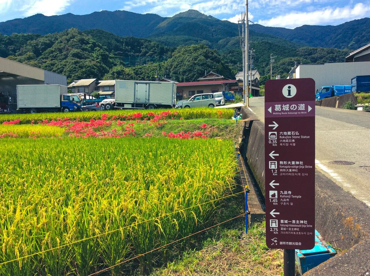画像15