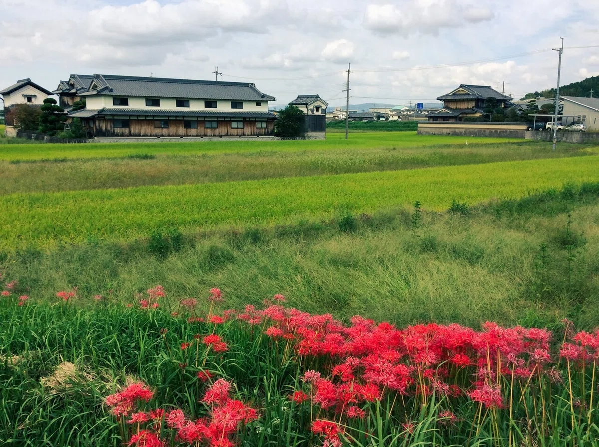 画像16