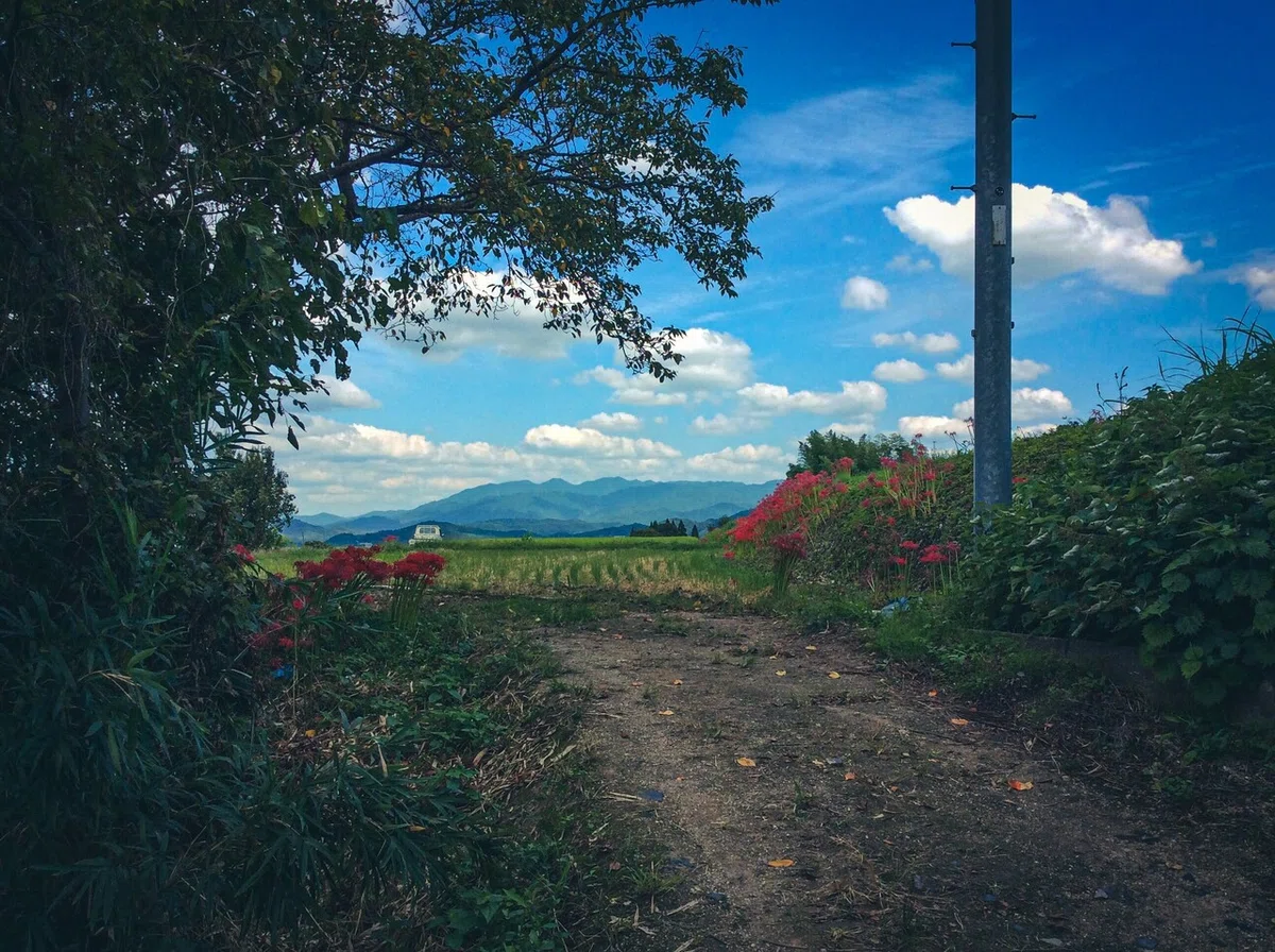画像20