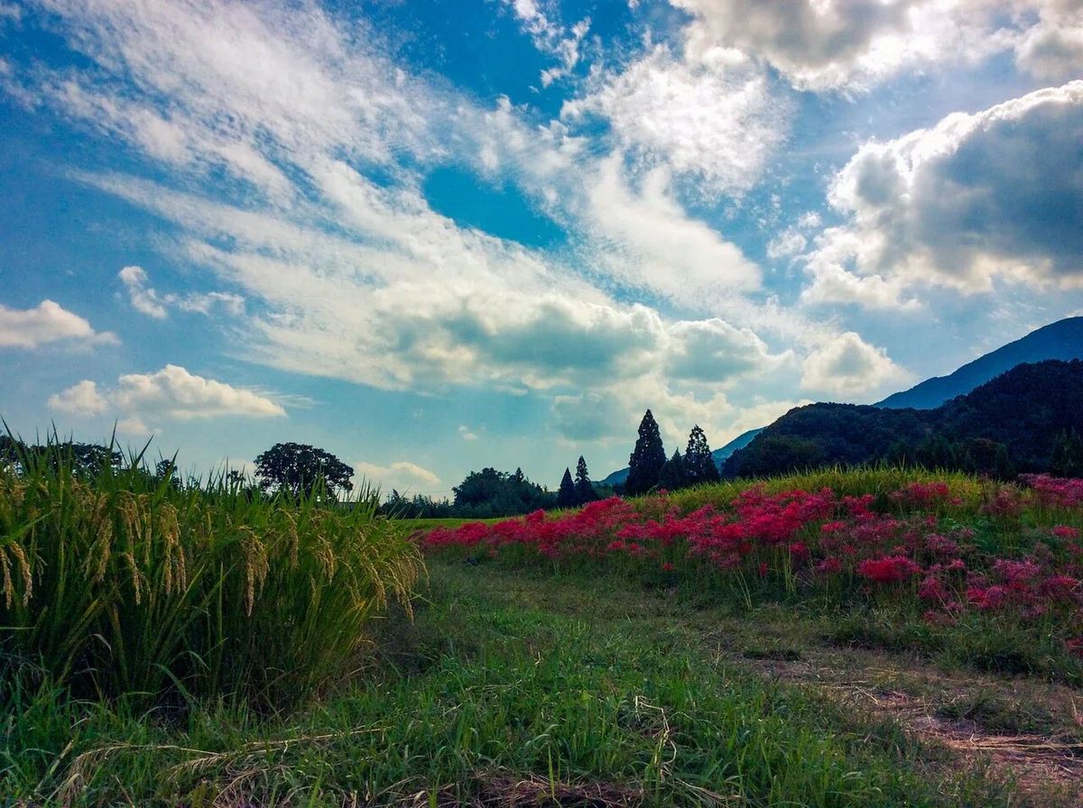 画像22