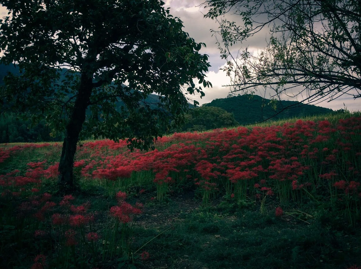 画像23