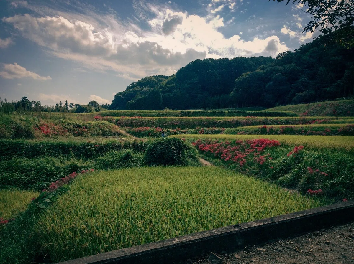 画像24