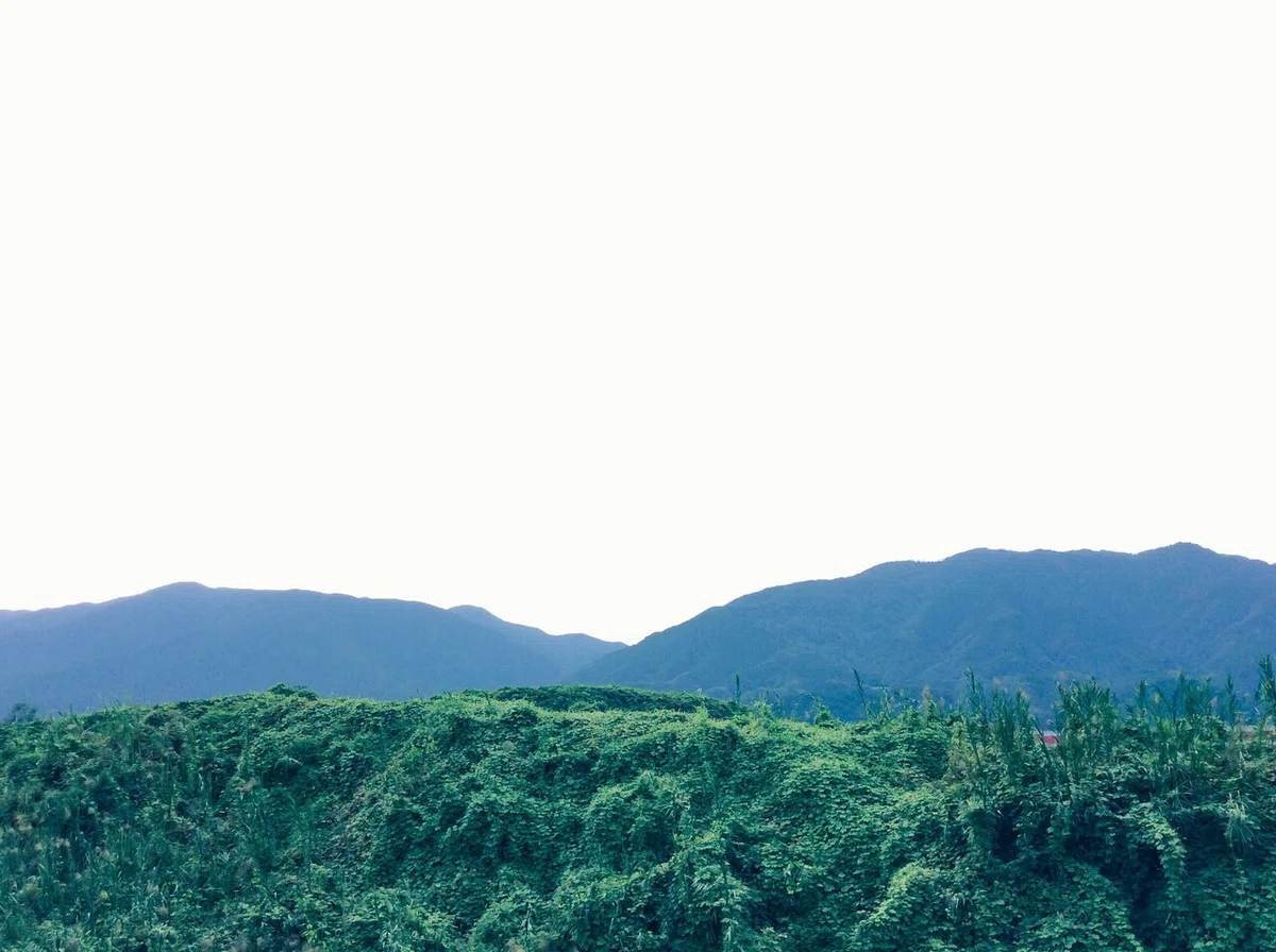 画像31