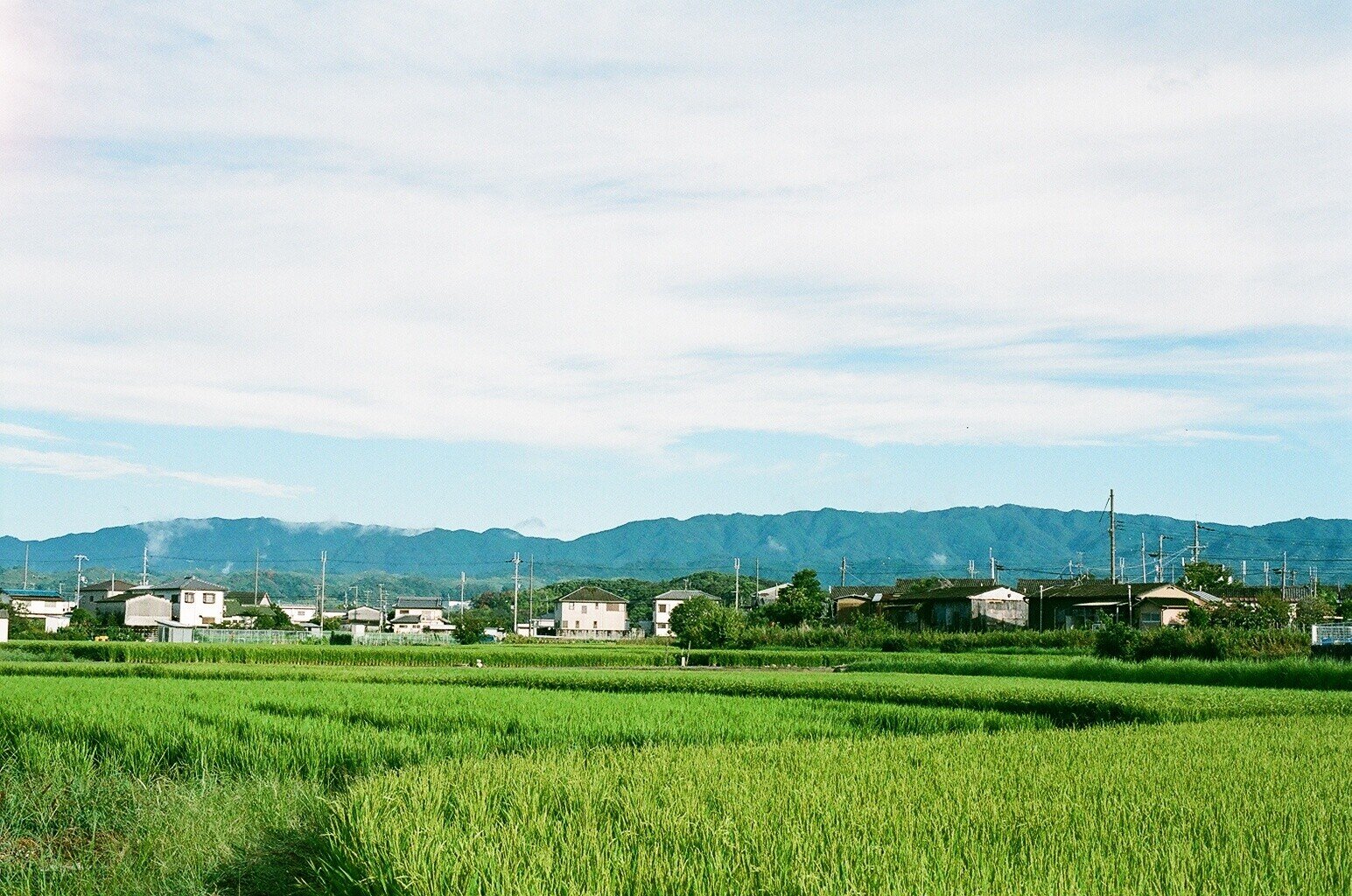和泉山脈 の新着タグ記事一覧 Note つくる つながる とどける