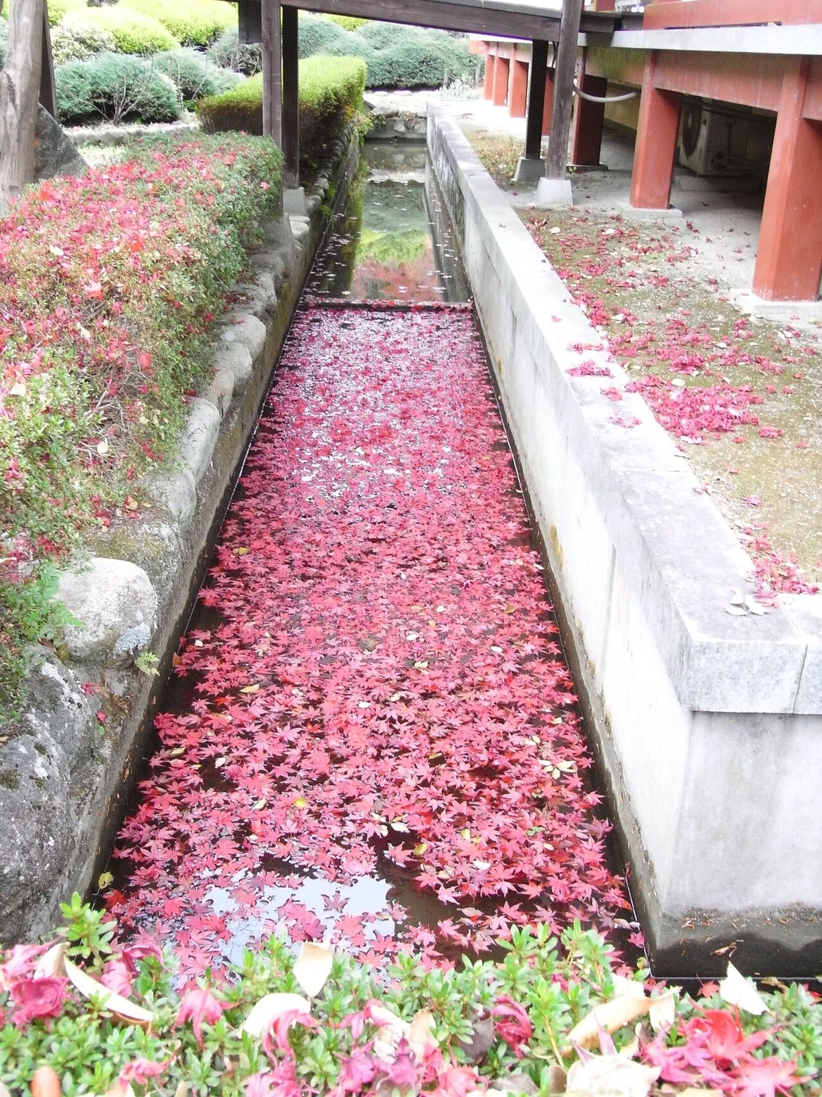 画像30