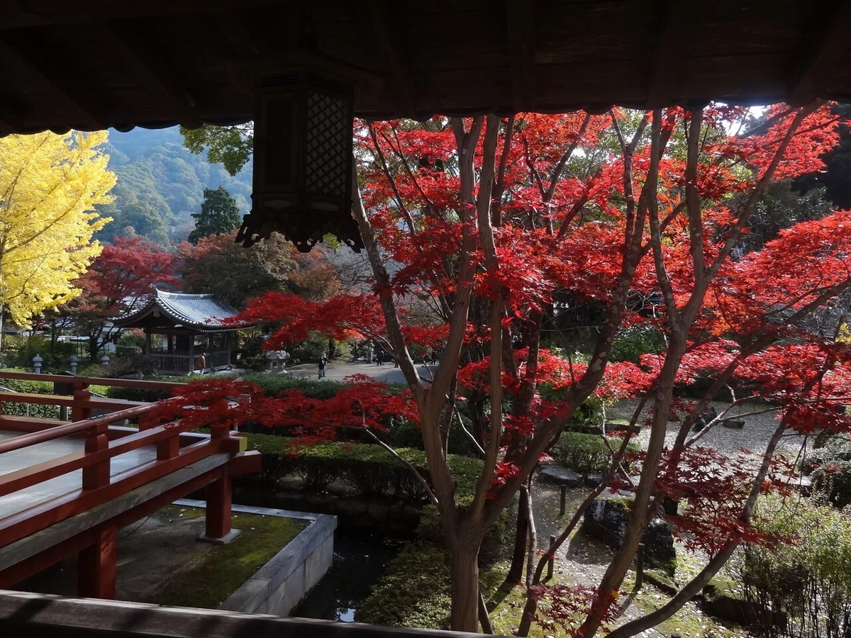 画像32