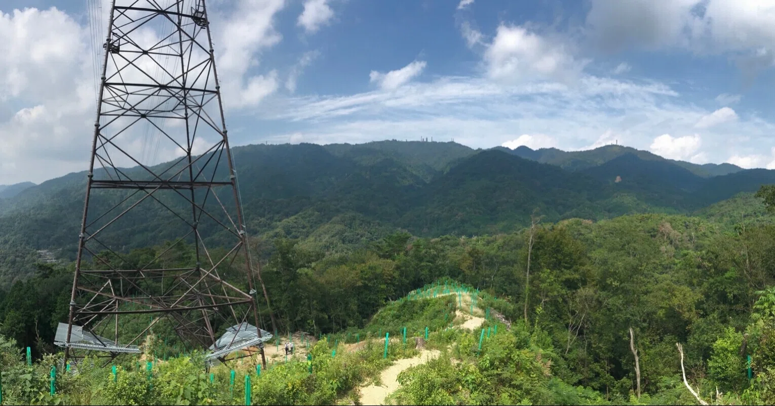 六甲山の山々 六甲山 (ろっこうさん)：931m - 山と溪谷オンライン
