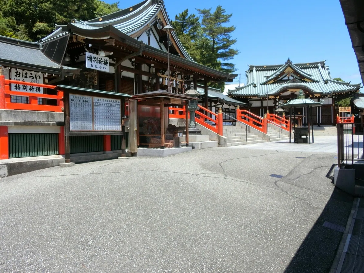 画像5