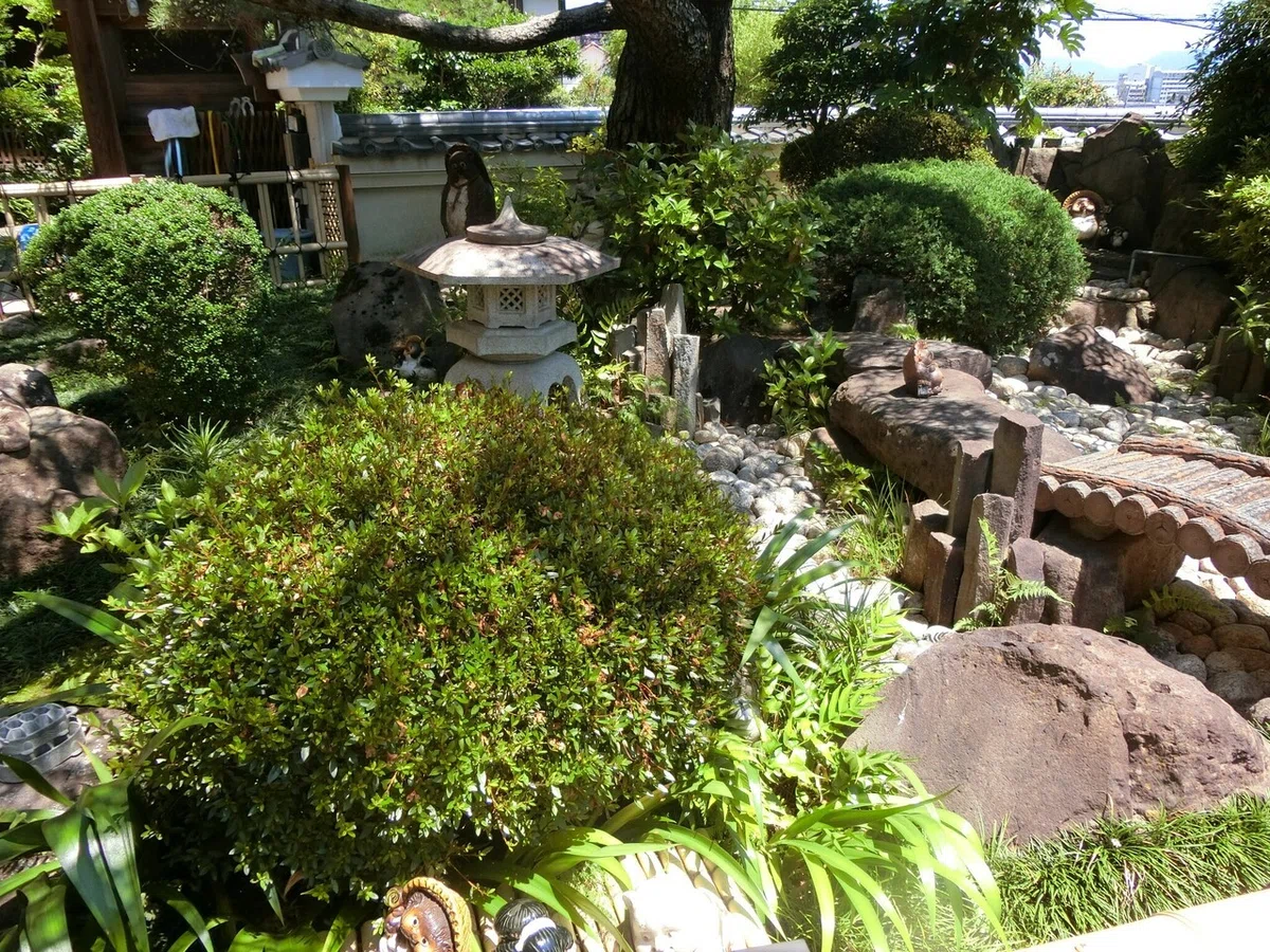 画像6