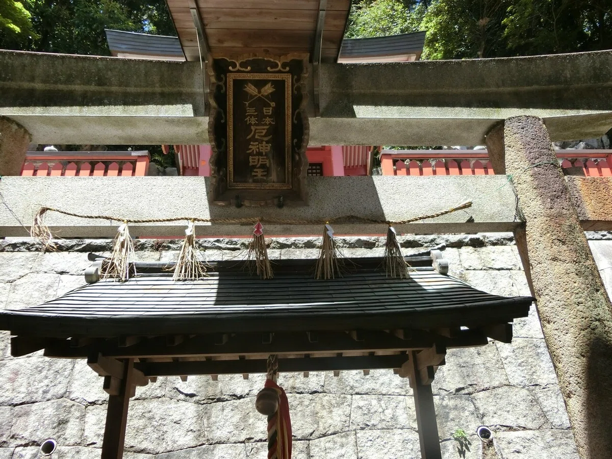 画像7