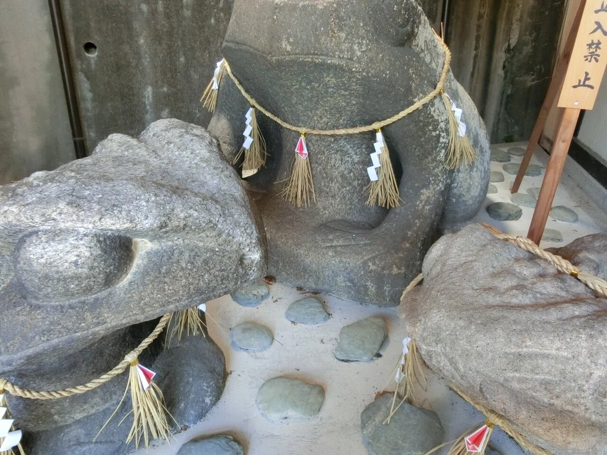画像9
