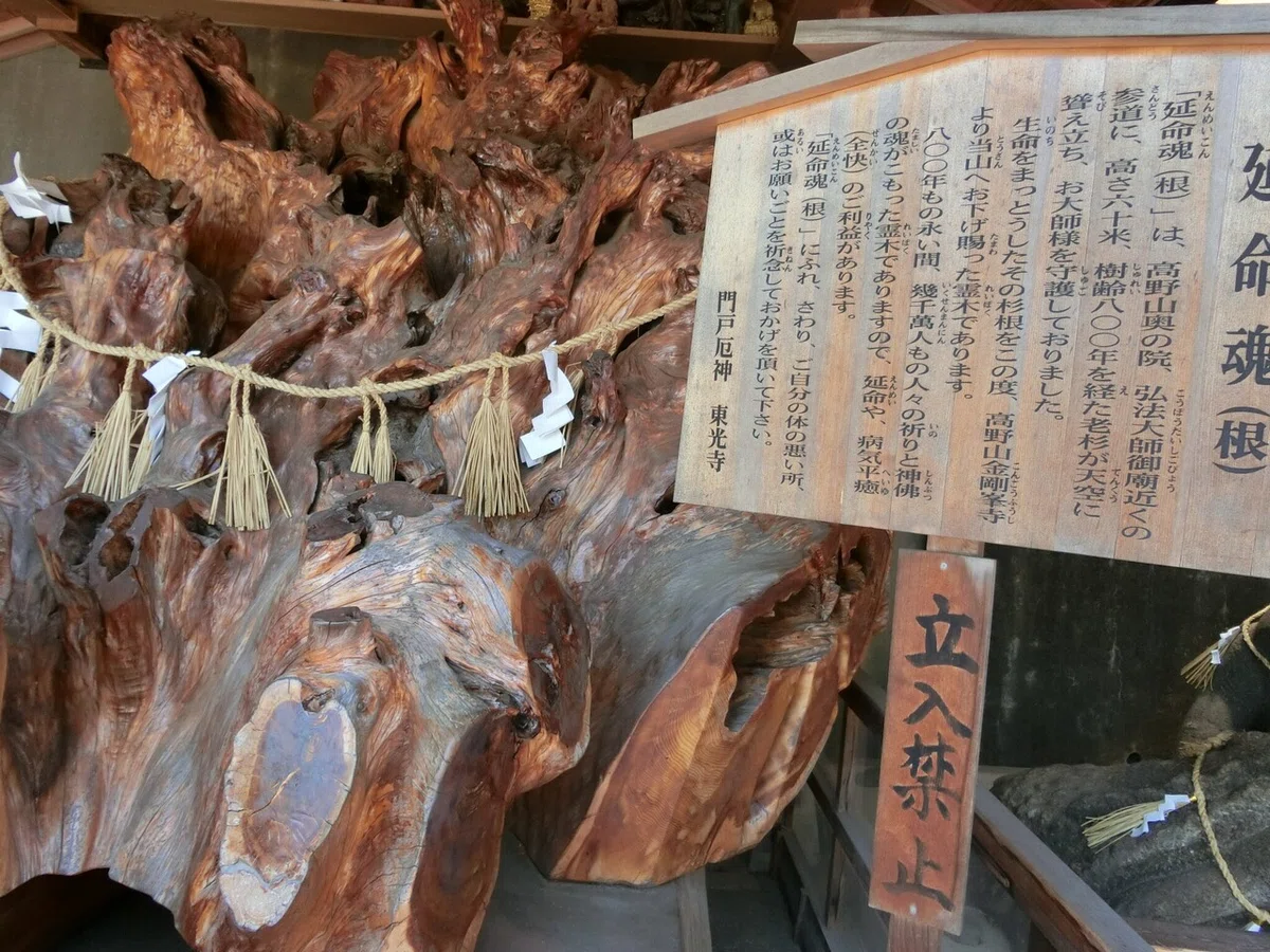 画像10