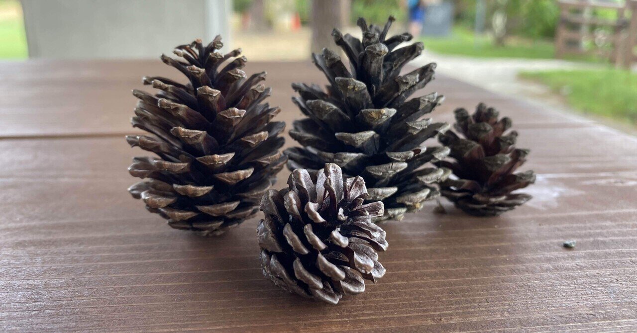 松ぼっくりの一人称は儂だと思う｜あーーの