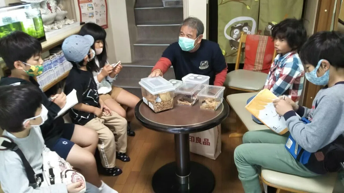 クワガた