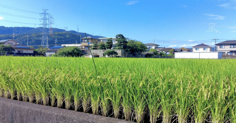 モチベーション97〜始まりと終わり〜