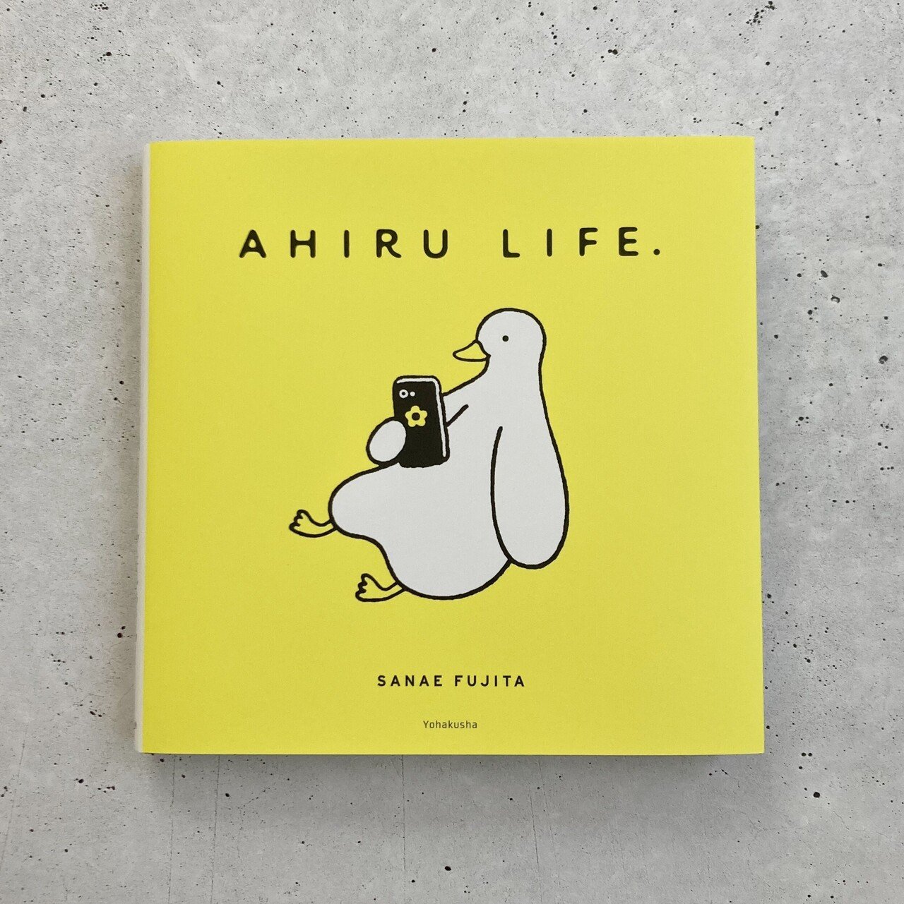書籍『AHIRU LIFE.』について｜AHIRU LIFE. アヒルライフ