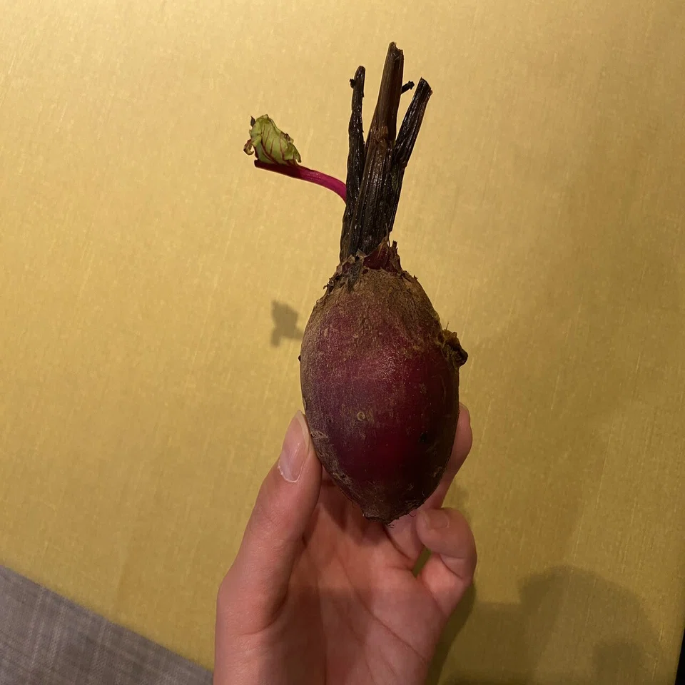 ビーツを美味しく 添え物 甘酢漬け ピンクのタルタル 麹町のフランス料理店 Note