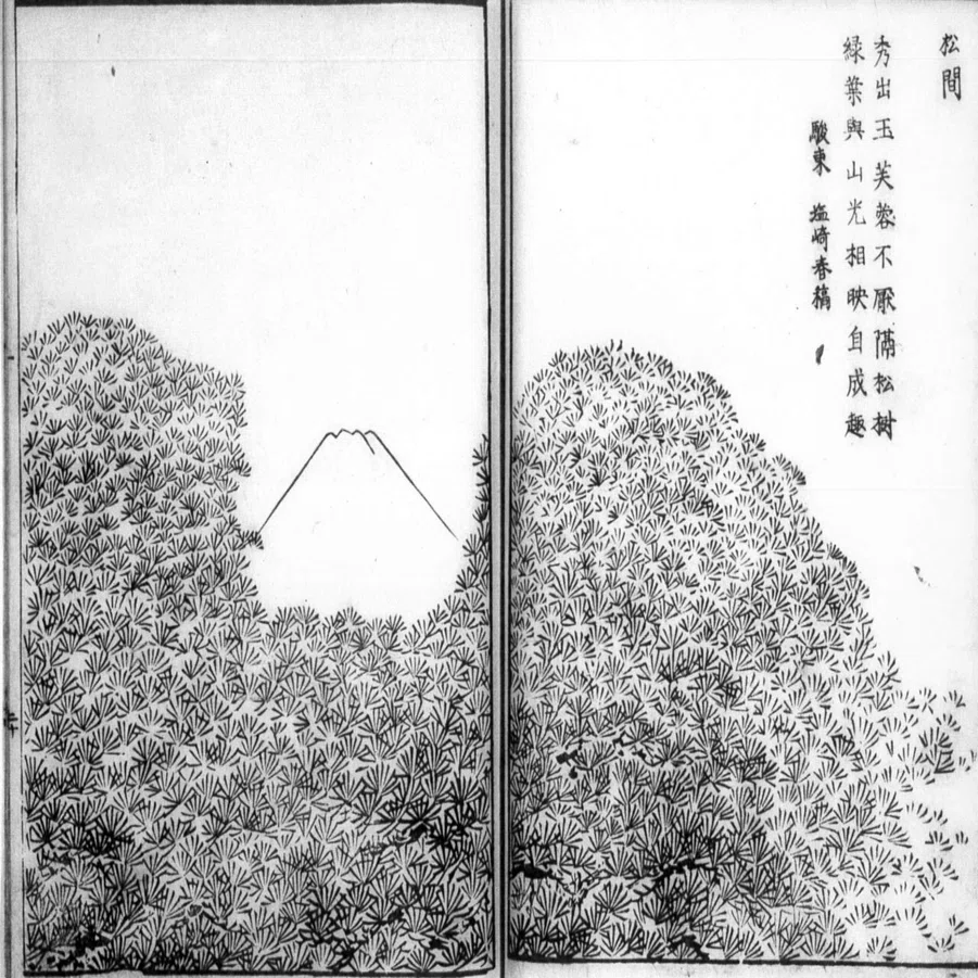 青山円座松』−松の丸みと富士の尖り、その影−『富嶽三十六景』｜おう