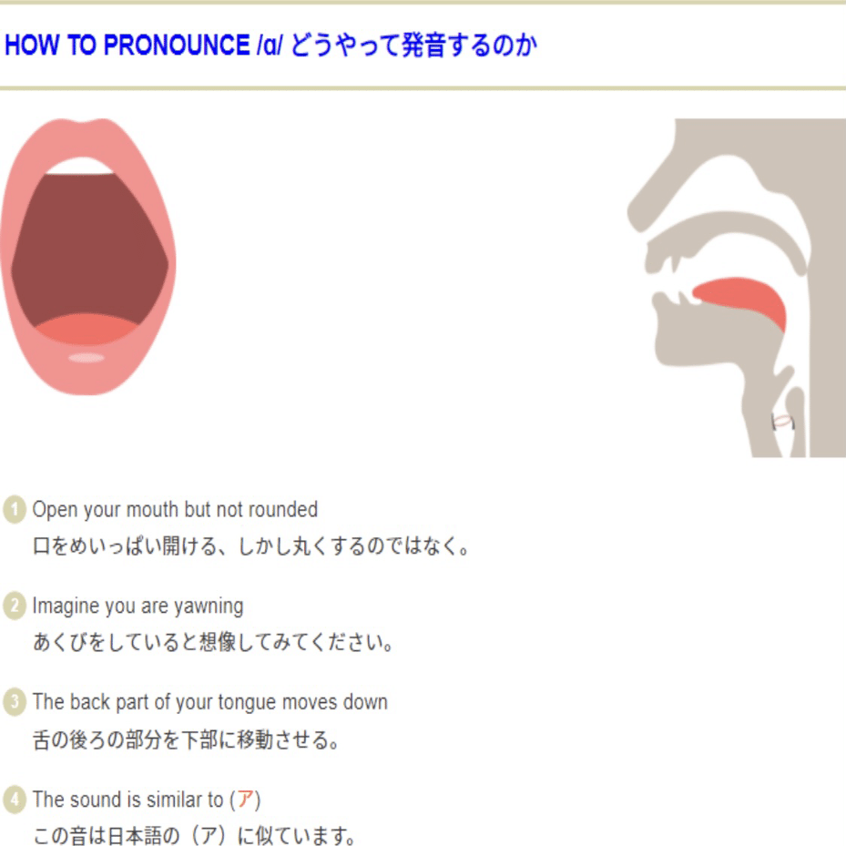 英語 Oとａの発音 これまでずっと間違えてた ピノ Toeic英語と旅と時々美食 Note