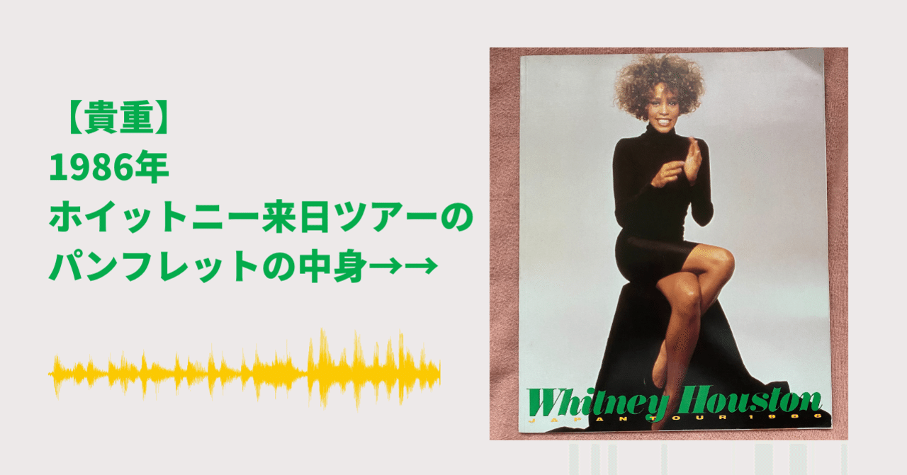 Whitney Houston 1990年ツアーパンフレット - メルカリ