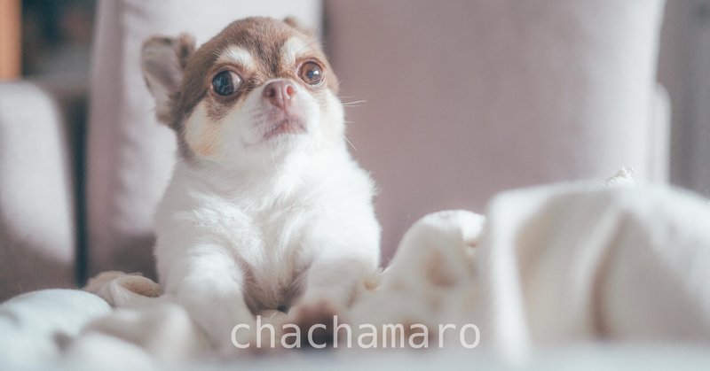 保護団体 の新着タグ記事一覧 Note つくる つながる とどける