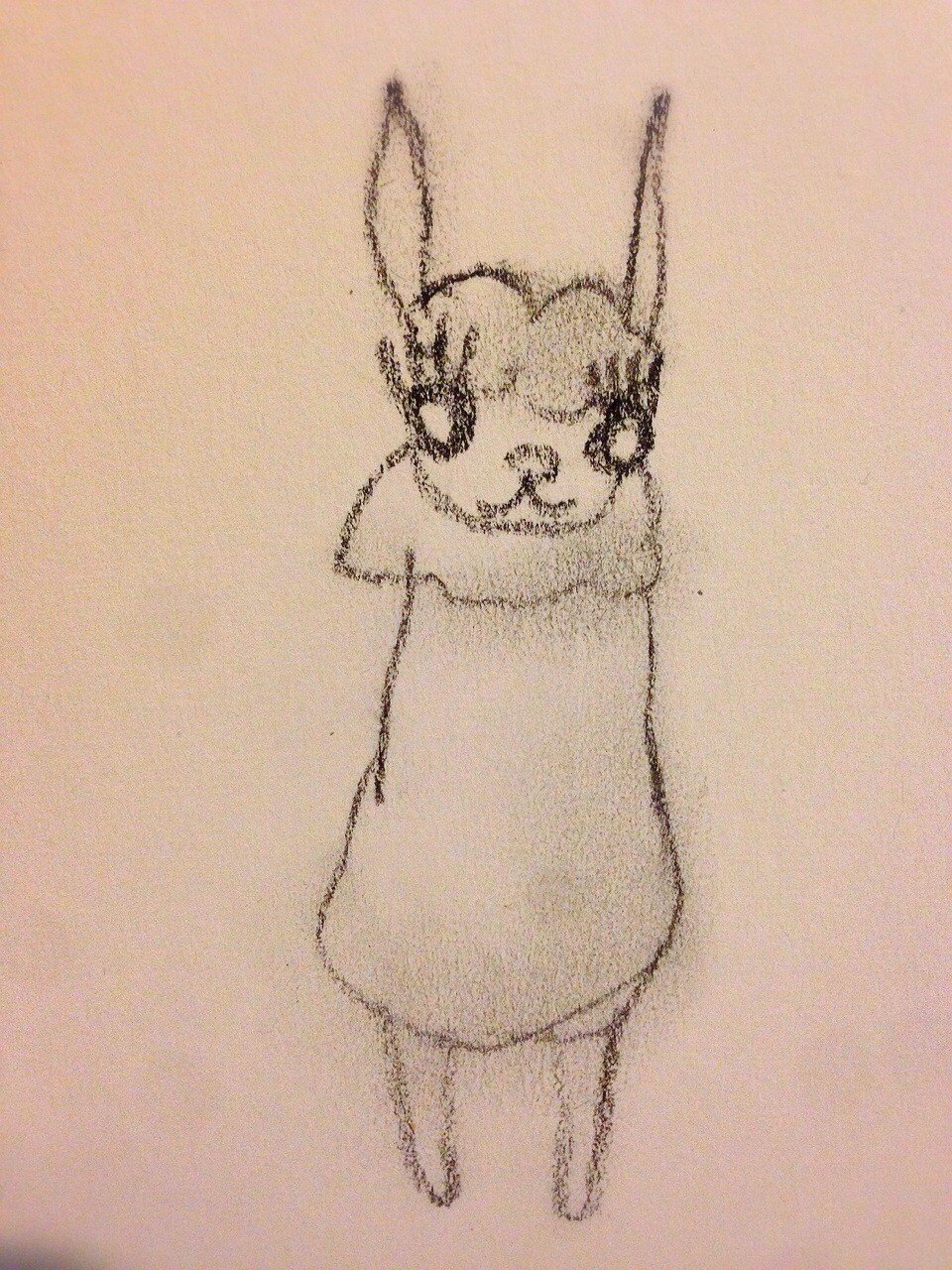 あるぱかちゃん みつみみうさぎ Note