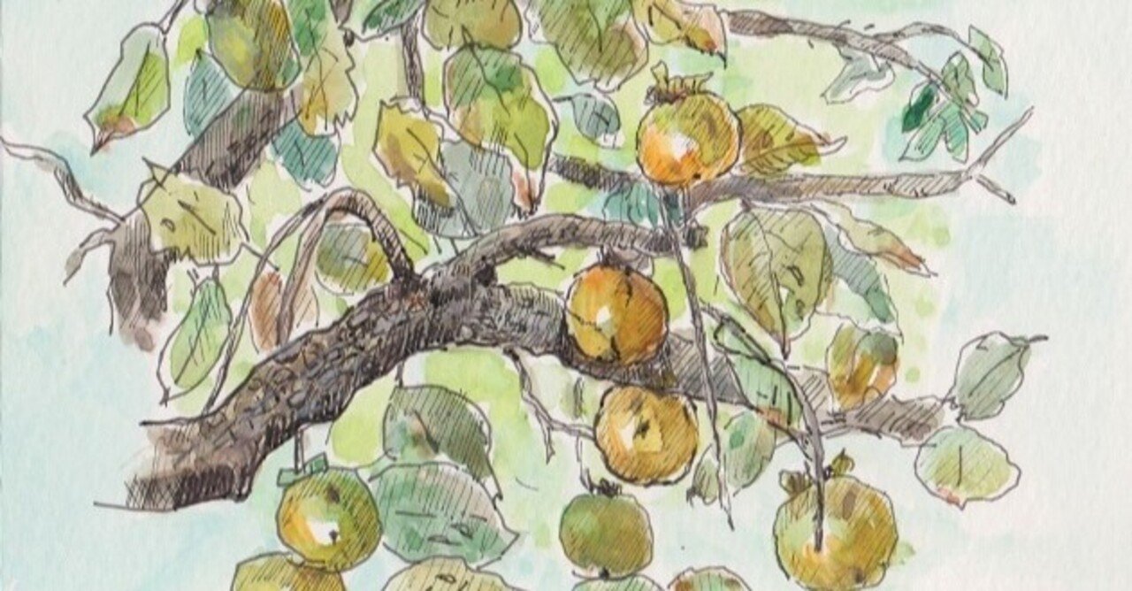 rectangle_large_type_2_0cf46c9