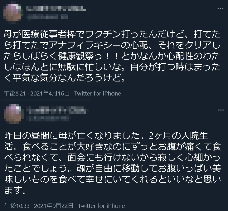 モザイク sippototteligohan san no haha