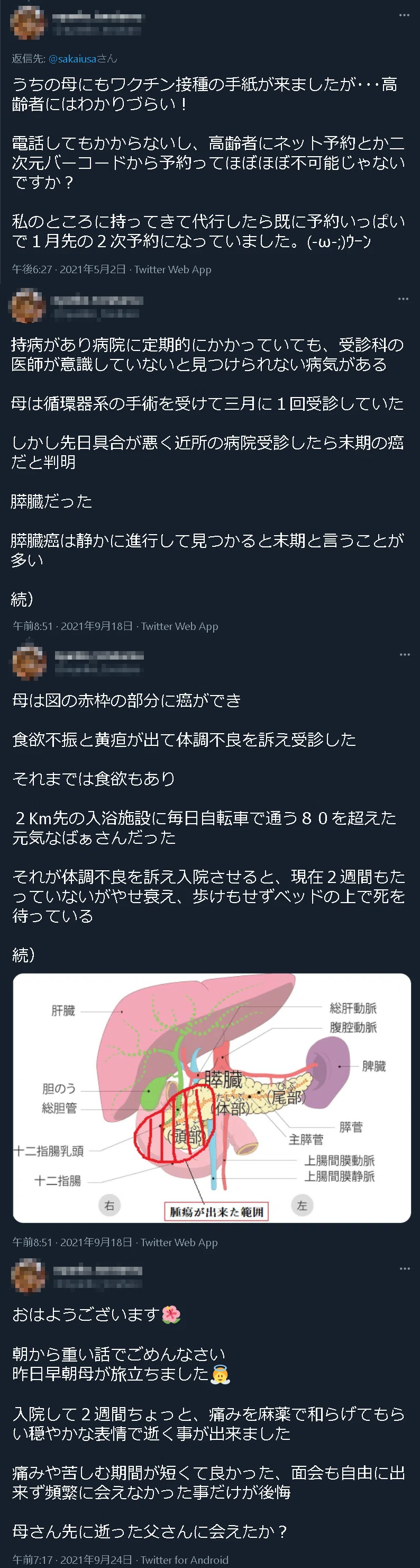 モザイク nyanko toratarou san no haha