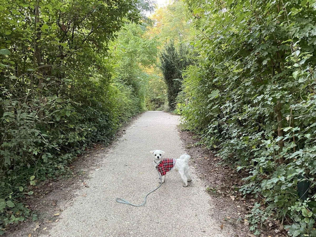 画像46