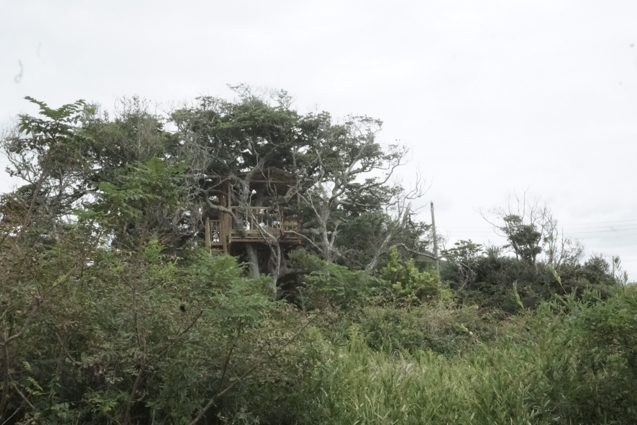 保田のツリーハウス