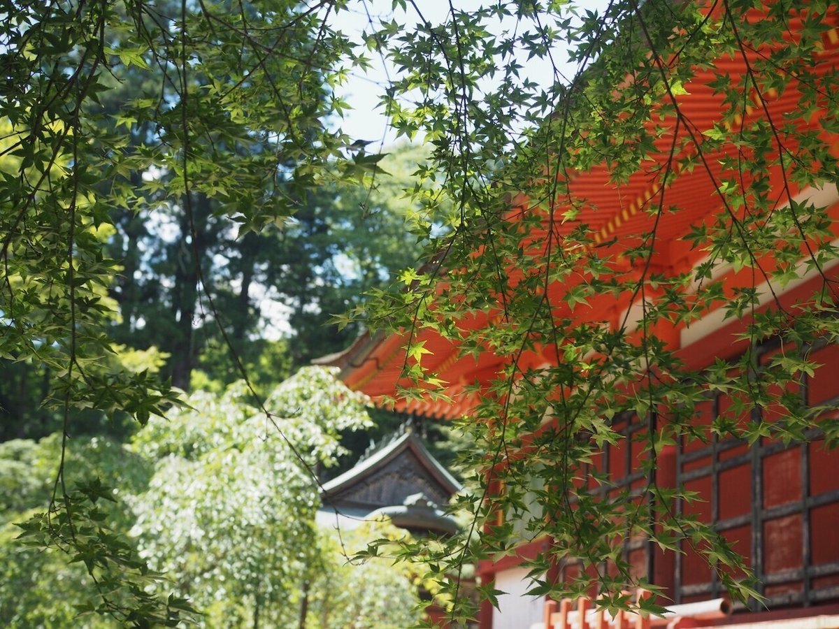 会報『聰壽』41号から142号(138号欠) 岡部泰寛 大黒山 北山寺 検