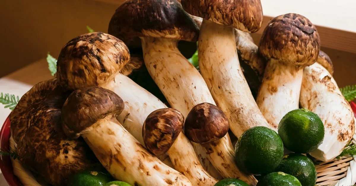 秋の実りの王様・香り高き「松茸」と「紅葉鯛」で食欲の秋を満喫