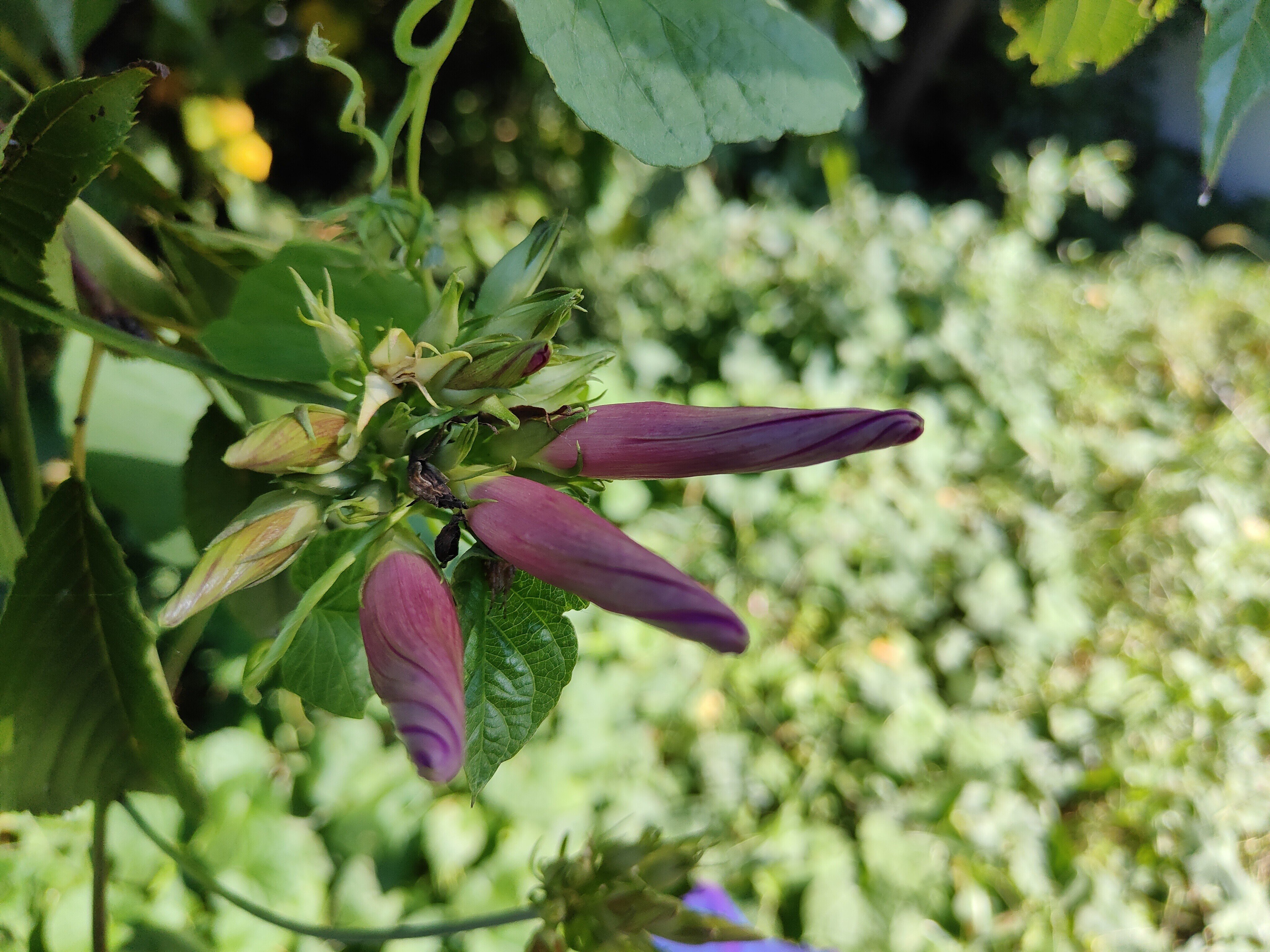 坊主女子 の新着タグ記事一覧 Note つくる つながる とどける 坊主女子 の新着タグ記事一覧 Note つくる つながる とどける