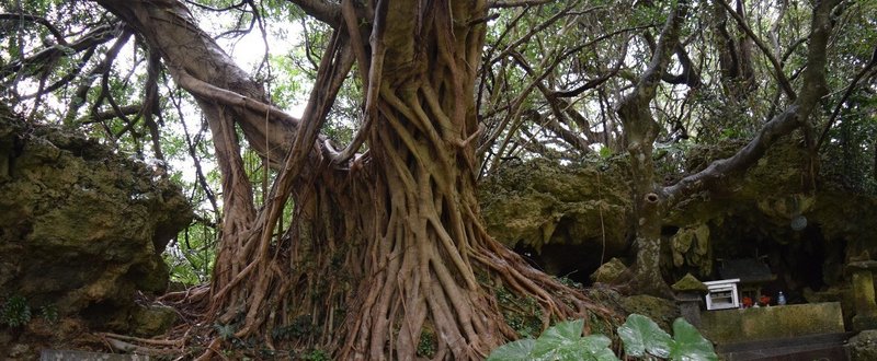 鹿児島県伊仙町を踏破　その１＜日本全市町村踏破（制覇）＞