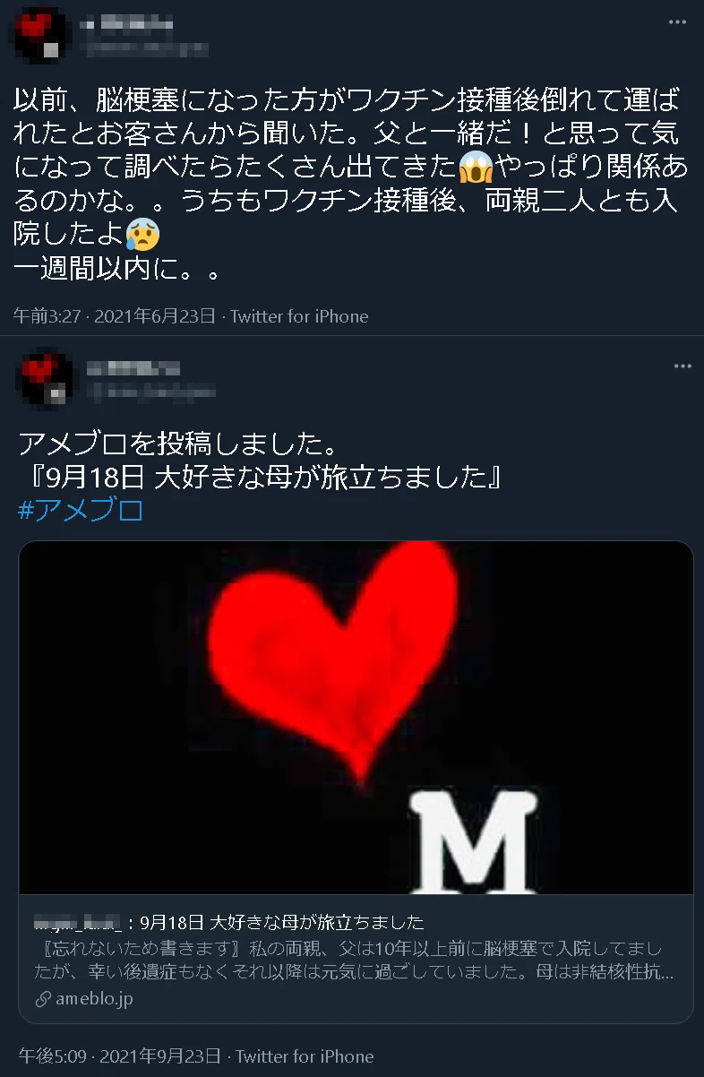 megu san no haha モザイク