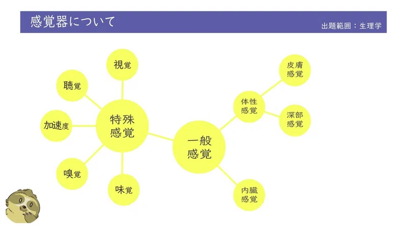 【生理学】図解イラストとゴロ合わせで簡単「感覚の受容器」の概要|森元塾@国家試験対策