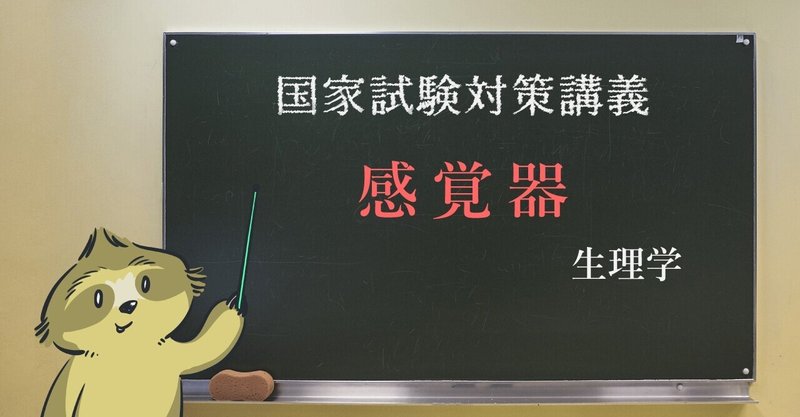 解剖 生理学 図解イラストとゴロ合わせで簡単 ゴロで覚えよう感覚の受容器 森元塾 国家試験対策 Note