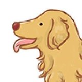 Retriever Design CEO