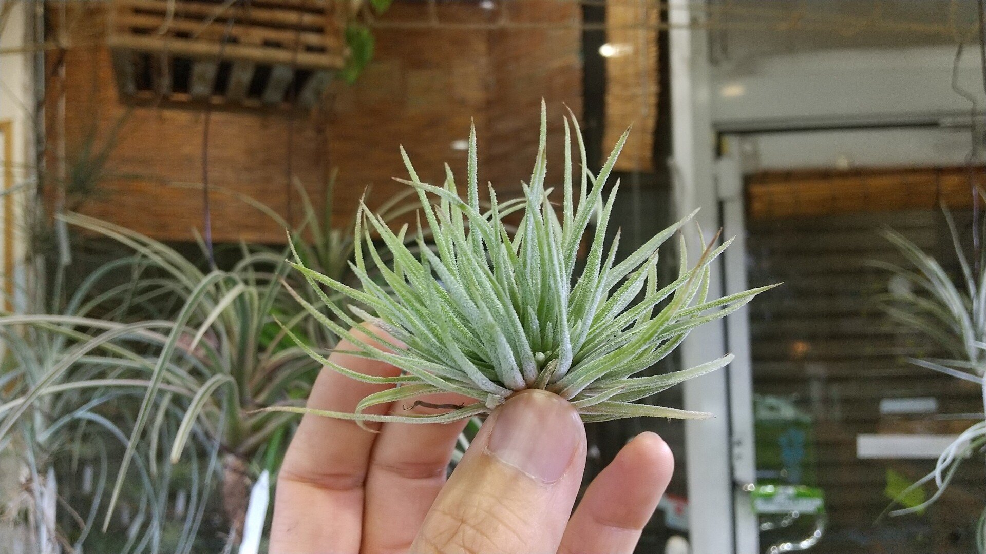 4e18ac26752787f1be30f1dd0047cd