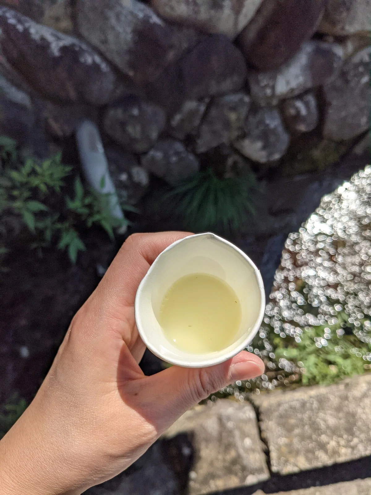 画像14