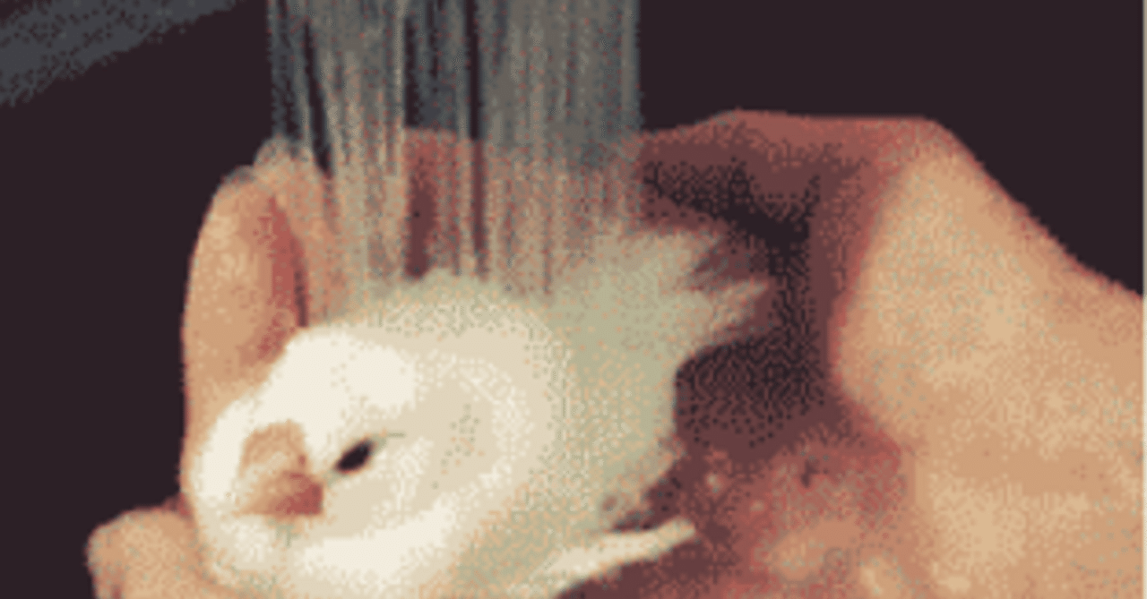 面白動物 Gif 動画 Shiomin Note