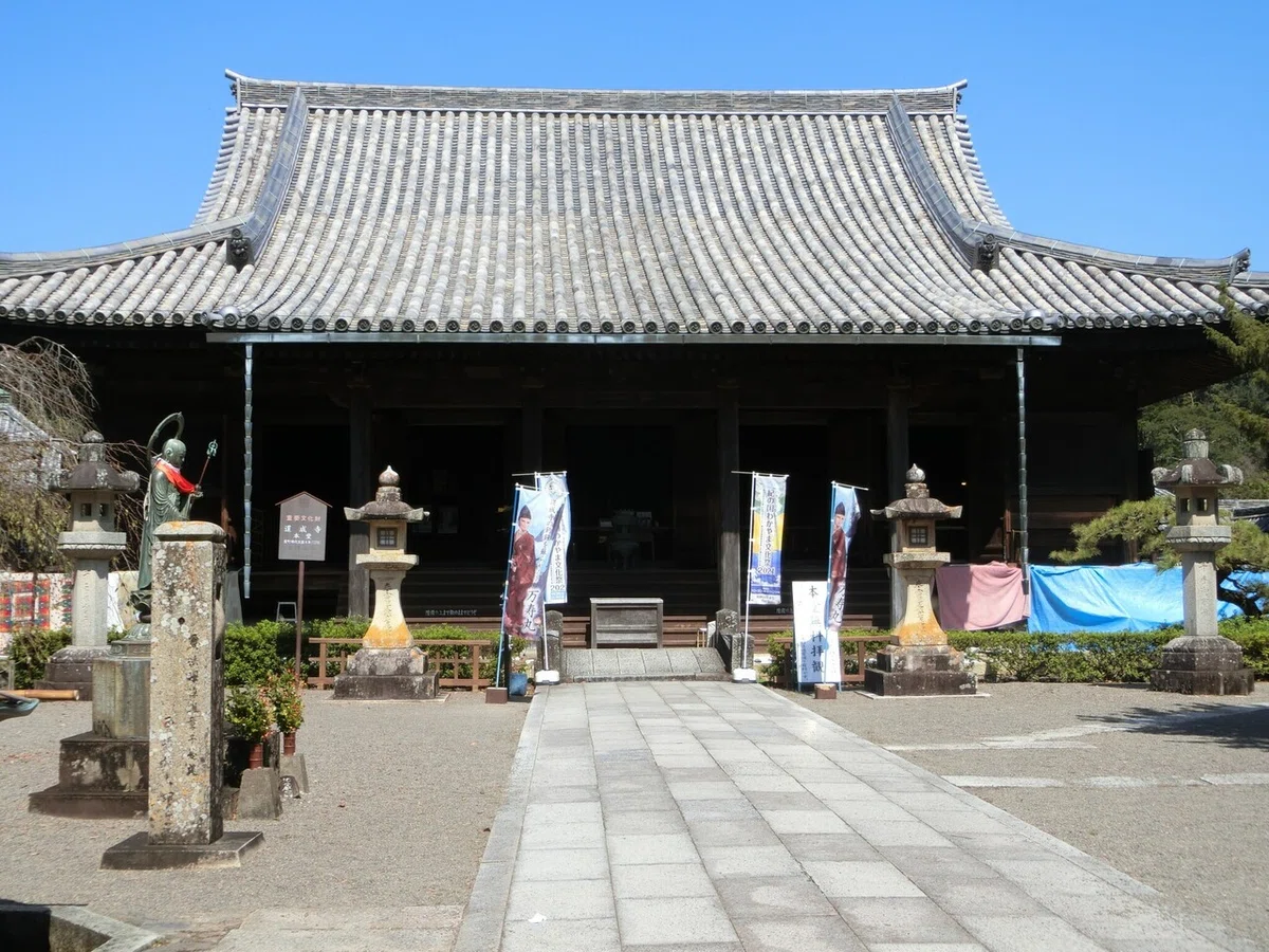 画像7
