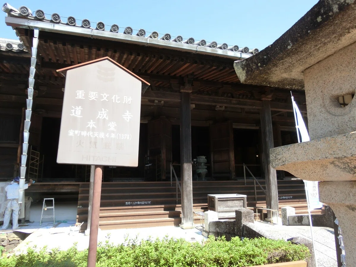 画像8