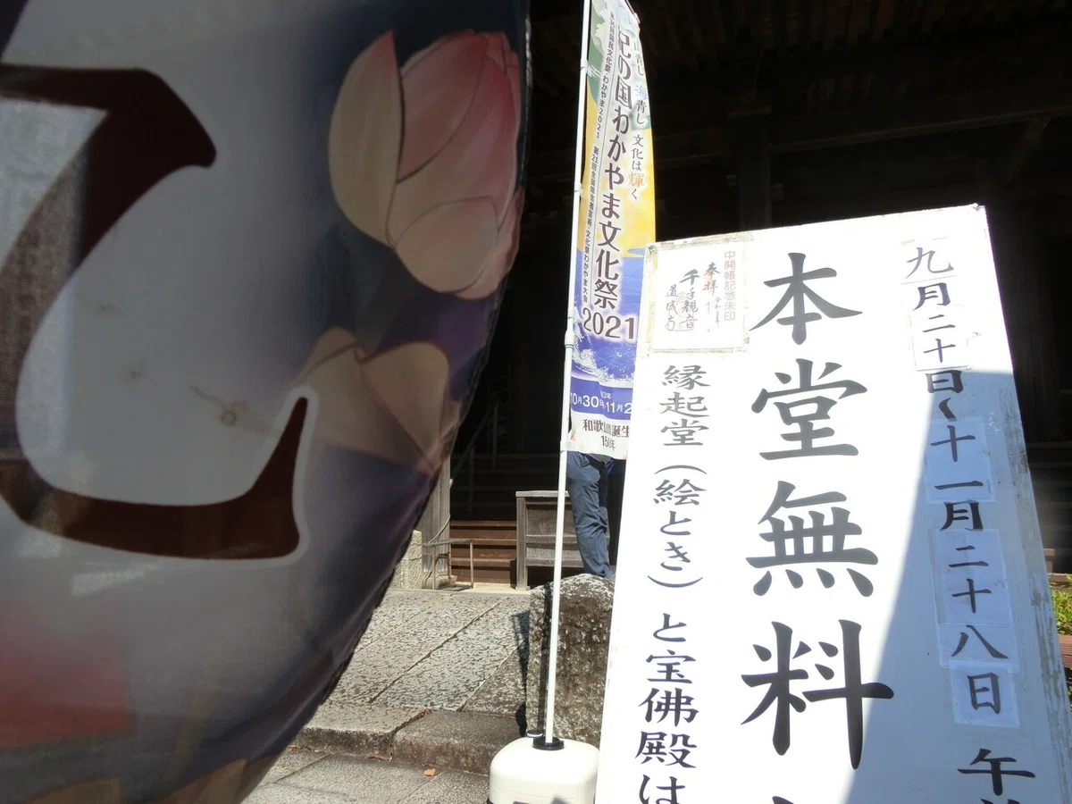 画像9
