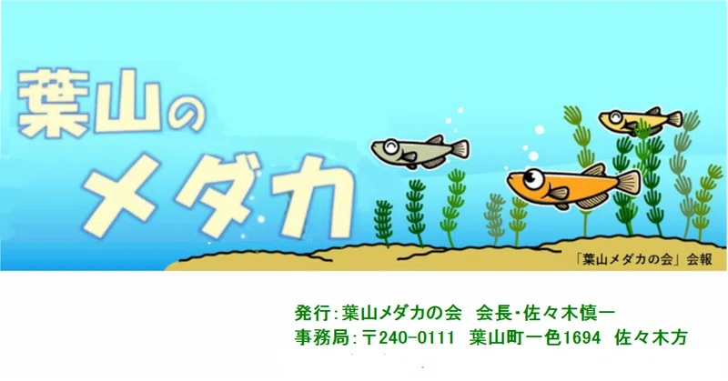 めだか の新着タグ記事一覧 Note つくる つながる とどける