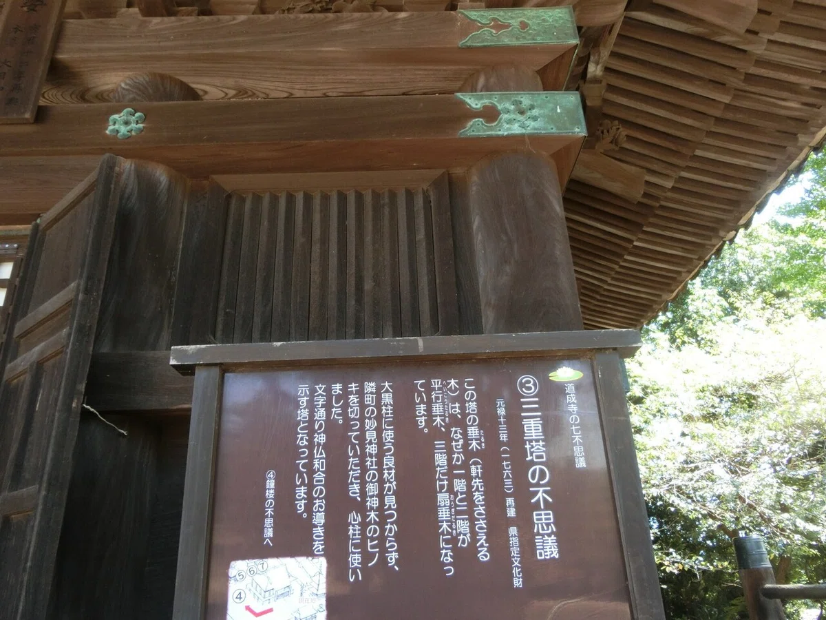 画像20