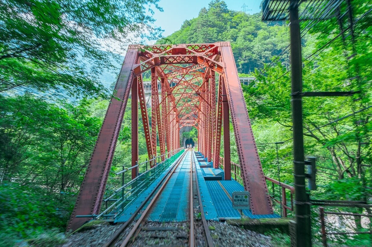 画像8