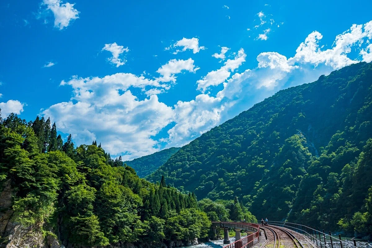 画像10